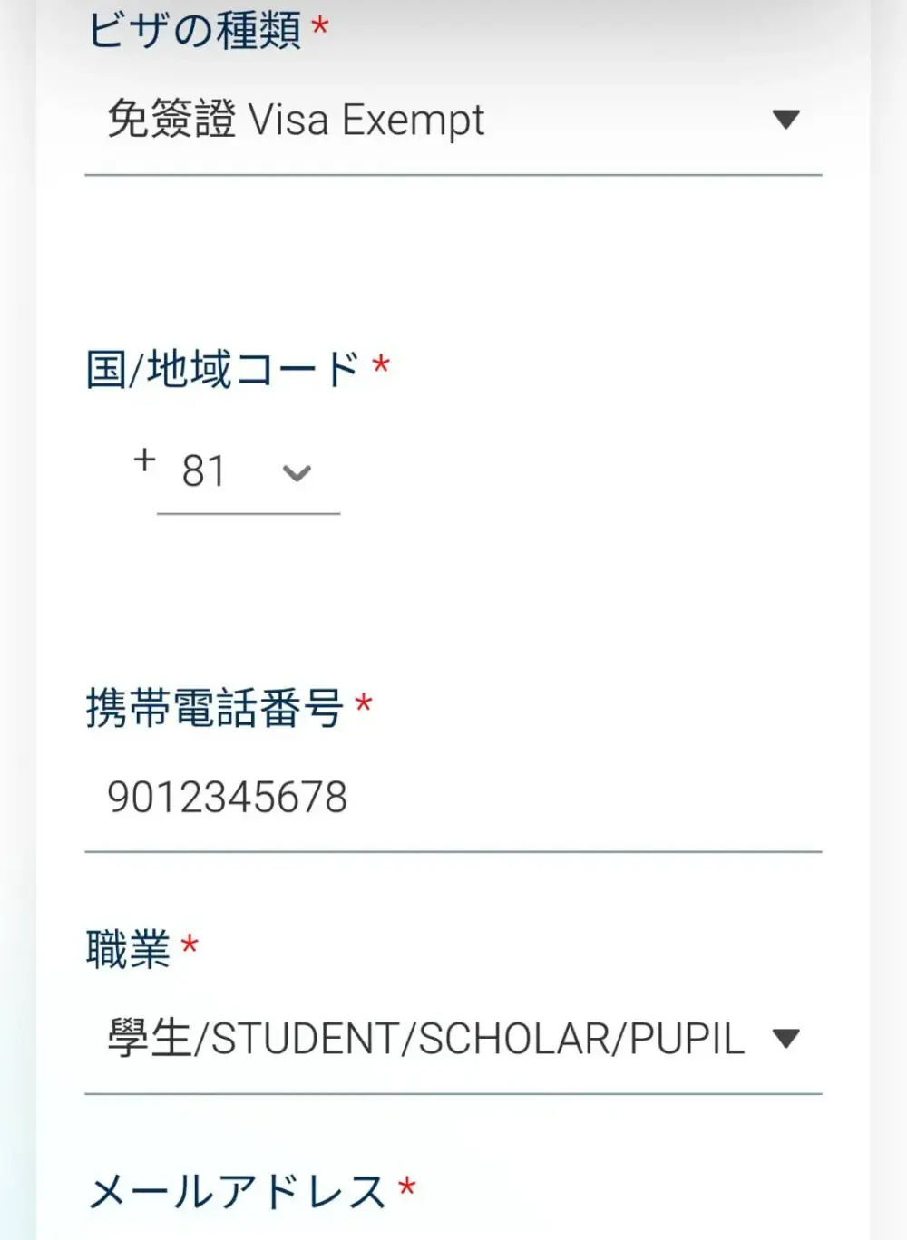 入国09 台湾 入国カード